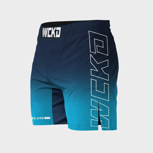 Short MMA Wicked One | Bleu | Raw