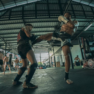 Short MMA Wicked One | Noir | Eager Otoshi