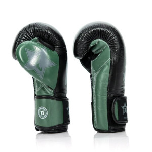 Gants de Boxe FAIRTEX X BOOSTER | Noir/Vert/Gris | FXB