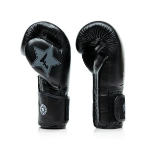 Gants de Boxe Fairtex x Booster | Noir | FXB
