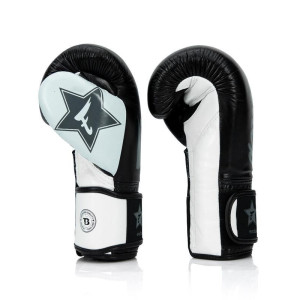 Gants de Boxe FAIRTEX X BOOSTER | Noir/Blanc | FXB