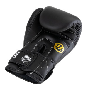 Gants de Boxe LVL UP | Noir/Or | Premium