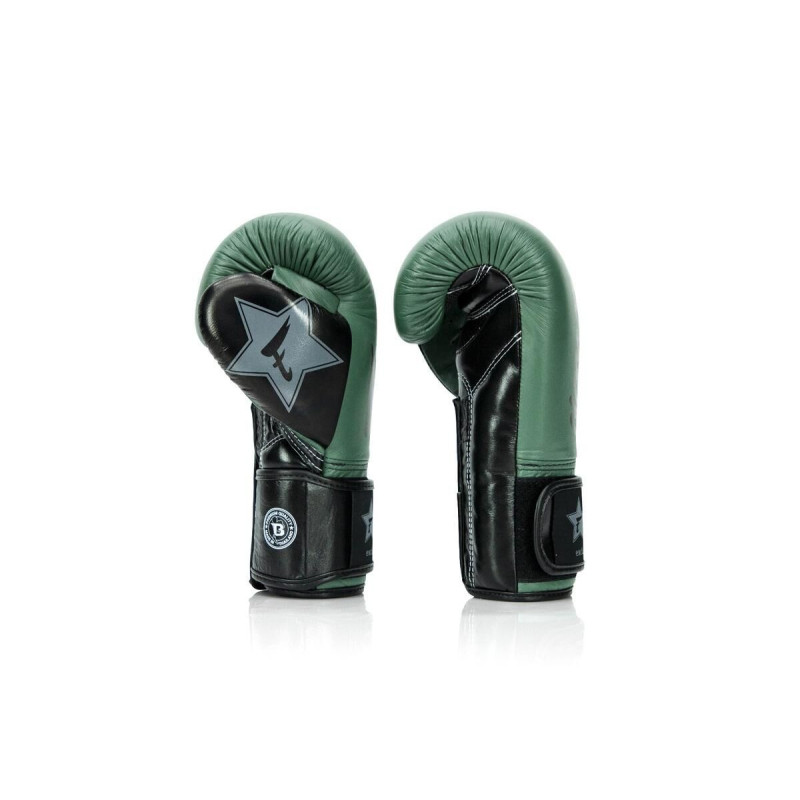 Gants de Boxe FAIRTEX X BOOSTER | Vert/Noir | FXB