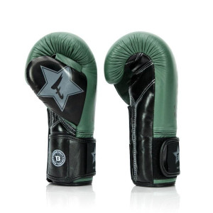 Gants de Boxe FAIRTEX X BOOSTER | Vert/Noir | FXB