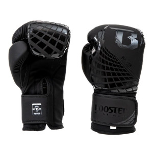 Gants de Boxe BOOSTER FIGHT GEAR | Noir | BFG Cube