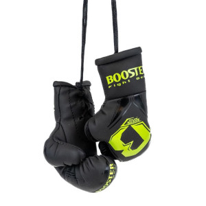 Mini Gants de Boxe BOOSTER FIGHT GEAR | Noir/Vert | Bangkok Series