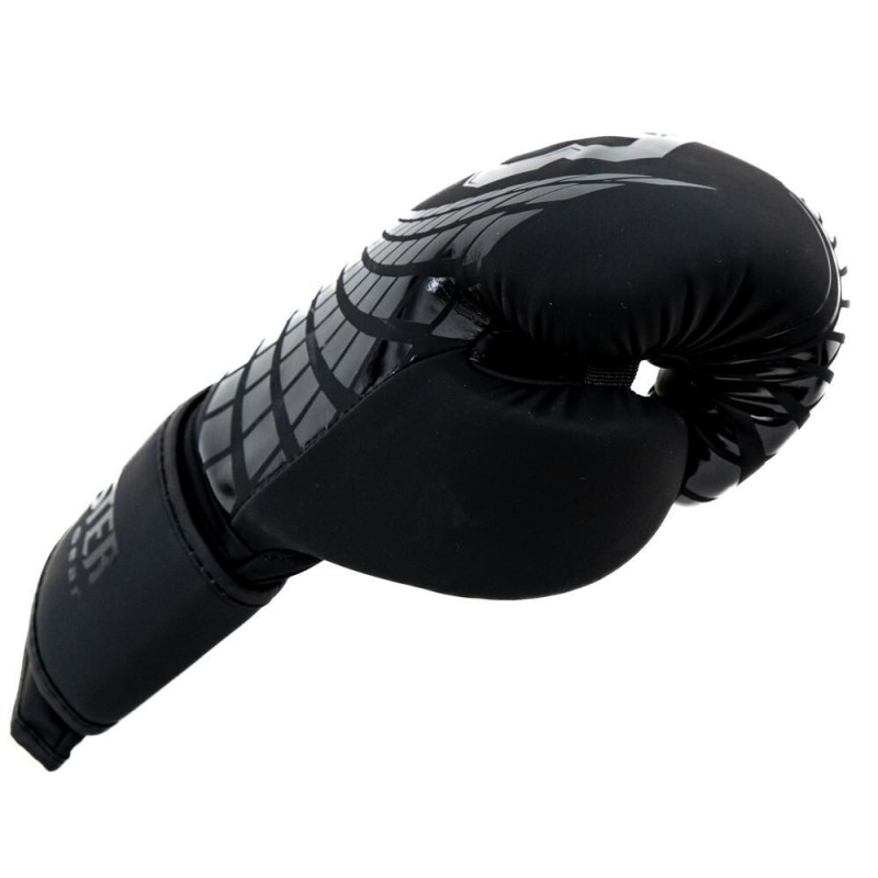 Gants de Boxe BOOSTER FIGHT GEAR | Noir | BFG Cube