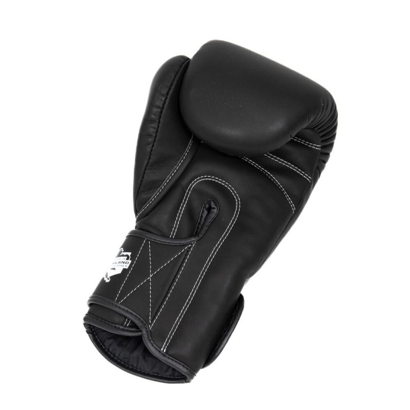 Gants de Boxe BOOSTER FIGHT GEAR | Noir | PRO BGL VX