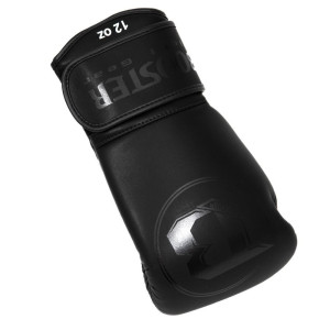 Gants de Boxe BOOSTER FIGHT GEAR | Noir | PRO BGL VX