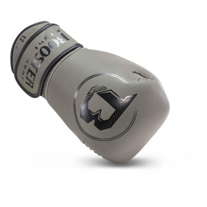 Gants de Boxe BOOSTER FIGHT GEAR | Multicolore | PRO BGL VX