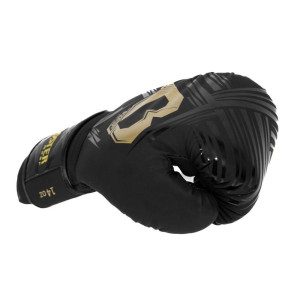 Gants de Boxe BOOSTER FIGHT GEAR | Noir/Or | Alpha Series