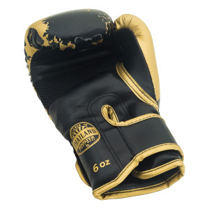 Gants de Boxe BOOSTER FIGHT GEAR | Marble Gold | BFG Youth