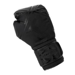 Gants de Boxe BOOSTER FIGHT GEAR | Noir | Alpha Series