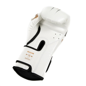 Gants de Boxe BOOSTER FIGHT GEAR | Noir/Blanc | Bangkok Series