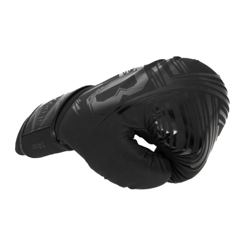 Gants de Boxe BOOSTER FIGHT GEAR | Noir | Alpha Series