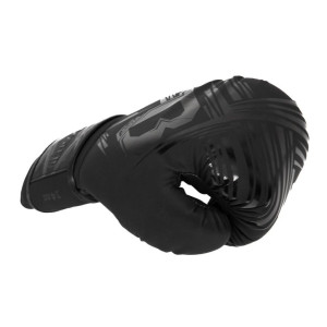 Gants de Boxe BOOSTER FIGHT GEAR | Noir | Alpha Series