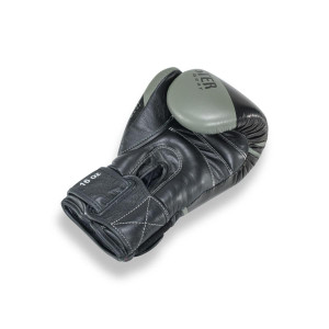 Gants de Boxe BOOSTER FIGHT GEAR | Noir/Vert | Pro Range V10