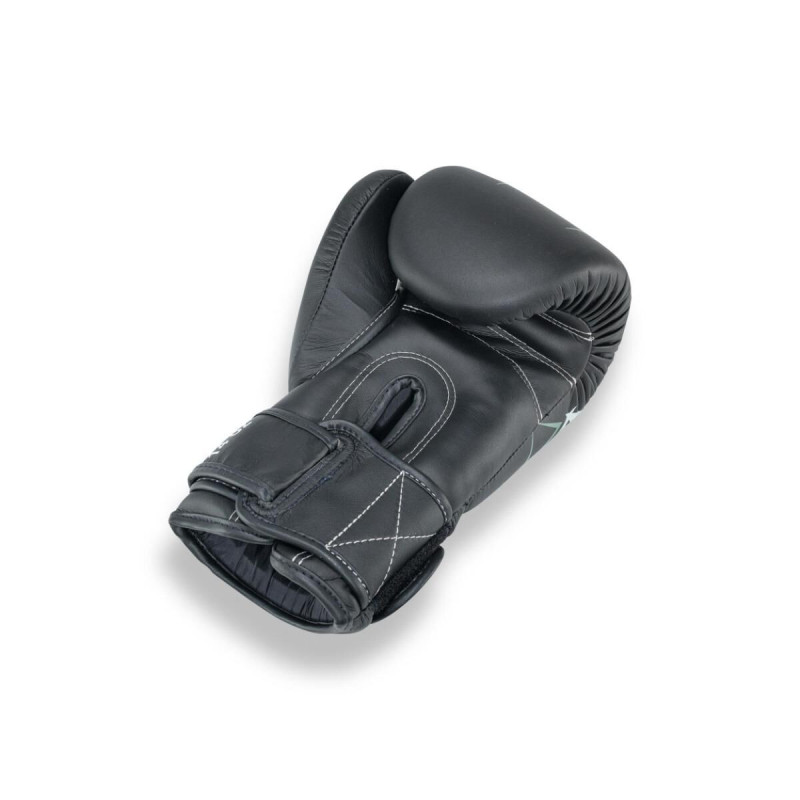 Gants de Boxe BOOSTER FIGHT GEAR | Noir/Vert | Pro Range V10
