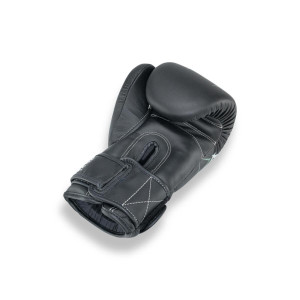Gants de Boxe BOOSTER FIGHT GEAR | Noir/Vert | Pro Range V10