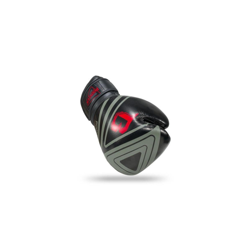 Gants de Boxe BOOSTER FIGHT GEAR | Noir/Vert | Pro Range V10
