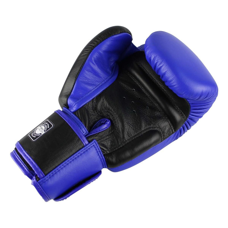 Gants de Boxe TWINS | Noir/Bleu | BGVL-3