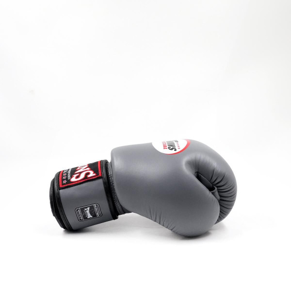Gants de Boxe TWINS | Gris | BGVL-3