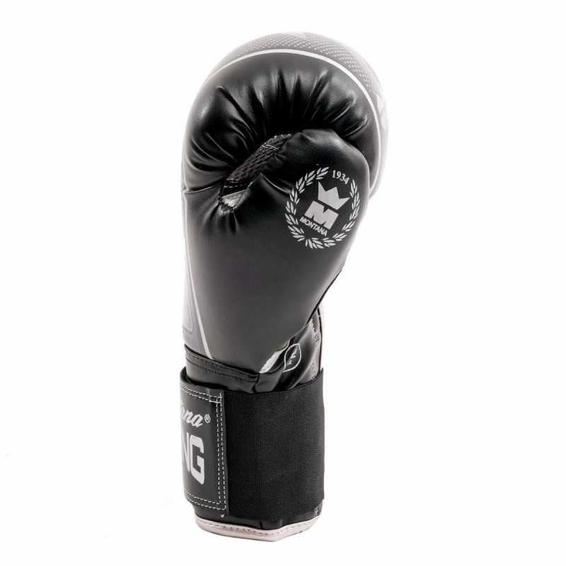 Gants de Boxe Montana | Noir | HAWK black