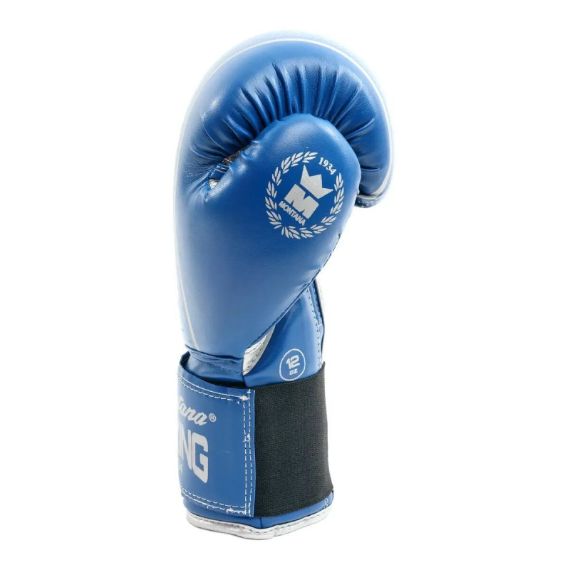 Gants de Boxe Montana | Bleu | HAWK blue