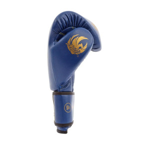 Gants de Boxe Montana | Bleu | X-PERIENCE NewCode