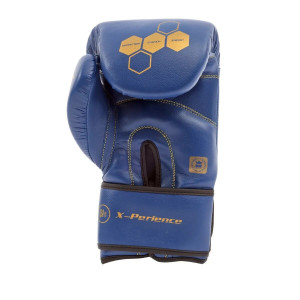 Gants de Boxe Montana | Bleu | X-PERIENCE NewCode
