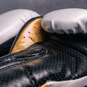 Gants de Boxe - Bar Tack - Blanc/Or - Striker