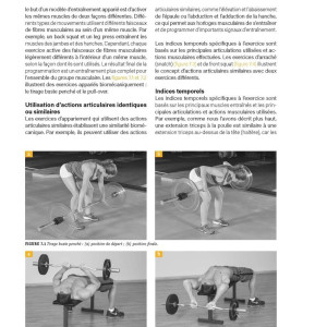 Livre Programmation de l'Entraînement 4TRAINER | Amy Ashmore Préparation Physique