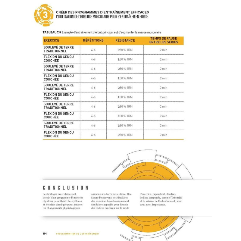 Livre Programmation de l'Entraînement 4TRAINER | Amy Ashmore Préparation Physique