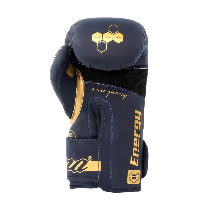 Gants de Boxe Montana | Bleu | ENERGY Poseidon 2024