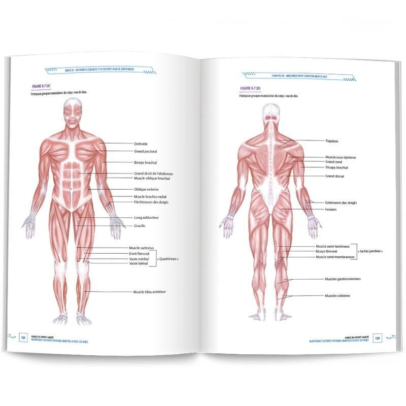 Livre Guide du Sport Santé 4TRAINER | Référence ACSM Activité Physique