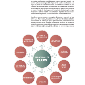 Livre Running Flow 4TRAINER | Psychologie du Flow Course à Pied Csikszentmihalyi