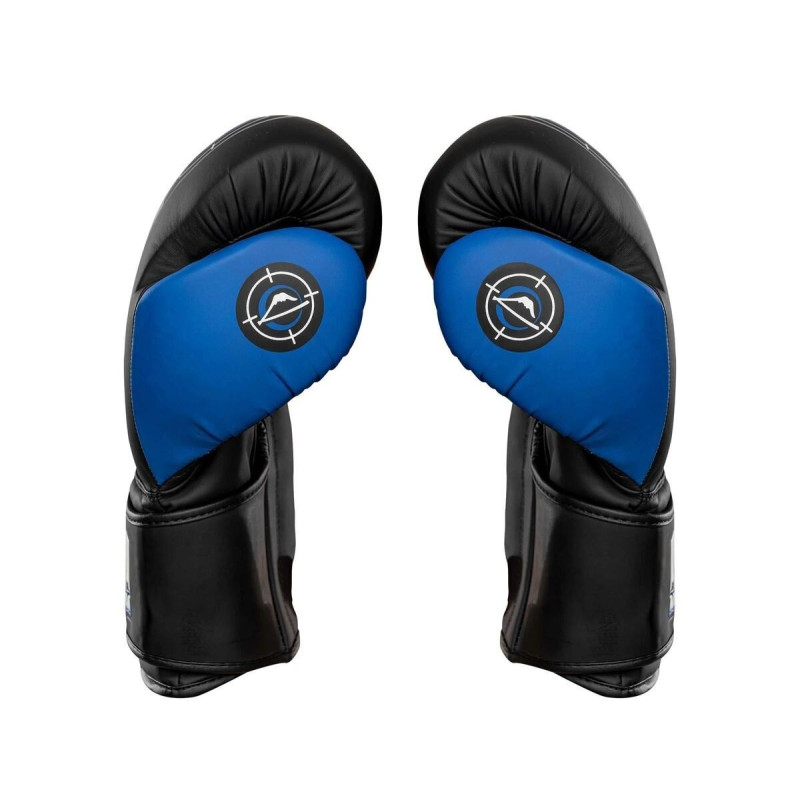 Gants de Boxe Fuji Sports | Precision