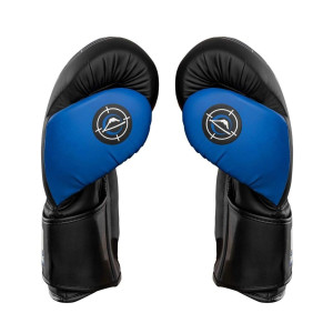 Gants de Boxe Fuji Sports | Precision