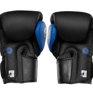 Gants de Boxe Fuji Sports | Precision