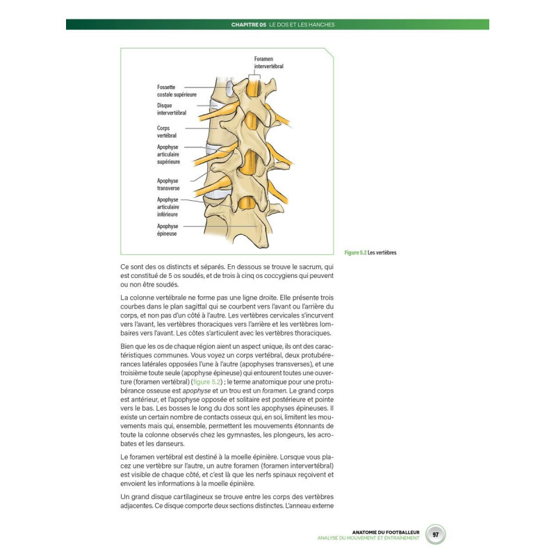 Livre Anatomie du Footballeur 4TRAINER | Guide Entraînement Football