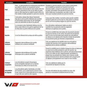 Livre WORKOUT 4TRAINER | Pour un entraînement plus intelligent | Pete McCall