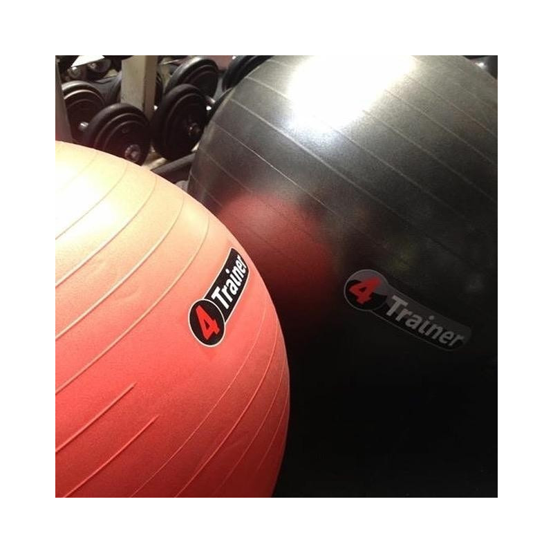 Ballon Suisse 4TRAINER | Rouge | 75 cm Anti-Éclatement