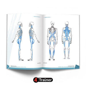 Livre La Prépa Physique Volley-Ball 4TRAINER | Guide Entraînement