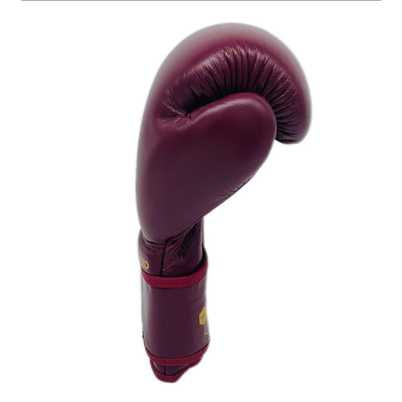 Gants de Boxe Montana | Gants de Boxe Victory Legend