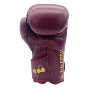 Gants de Boxe Montana | Gants de Boxe Victory Legend