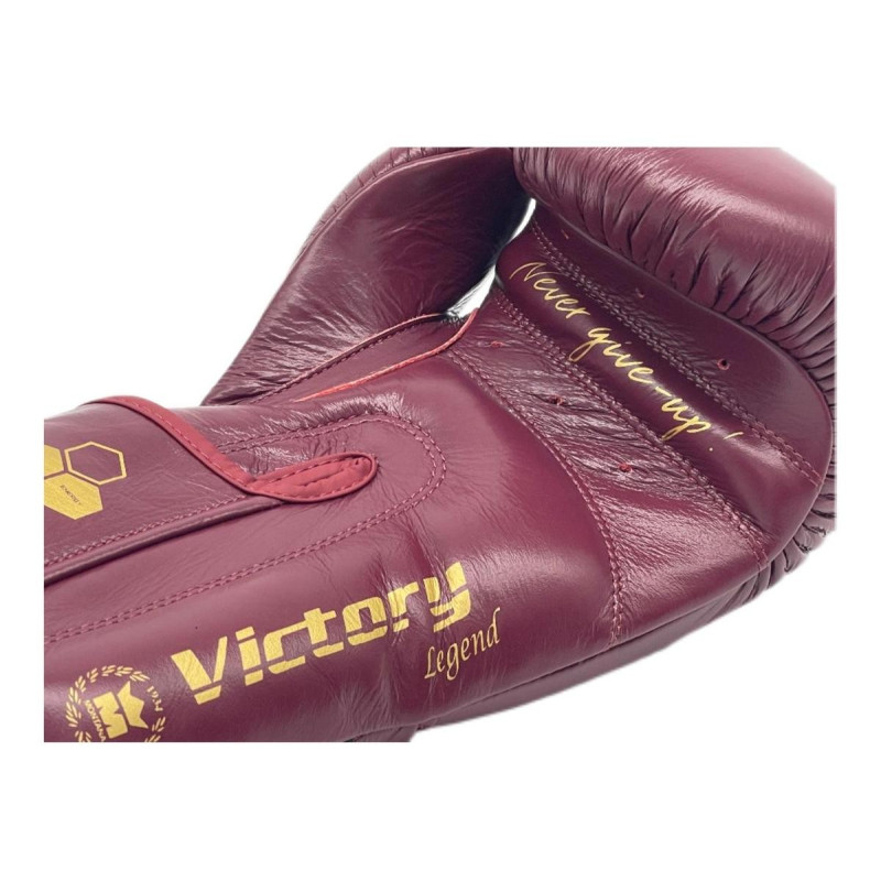 Gants de Boxe Montana | Gants de Boxe Victory Legend