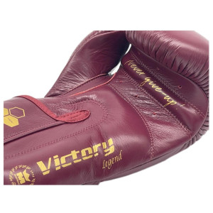 Gants de Boxe Montana | Gants de Boxe Victory Legend