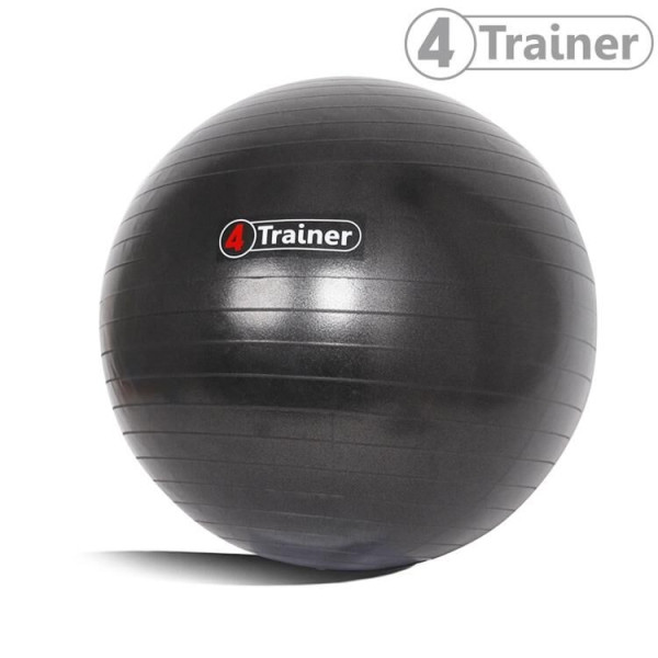 Ballon Suisse 4TRAINER | Noir | 65cm Anti-Éclatement