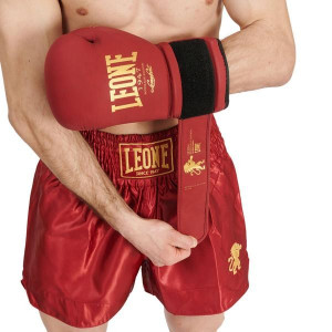 Short de Boxe Thai Leone1947 | Bordeaux | Basic 2