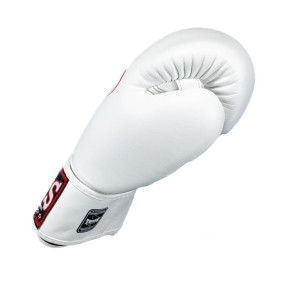 Gants de Boxe - Twins - Blanc - BG-N V2